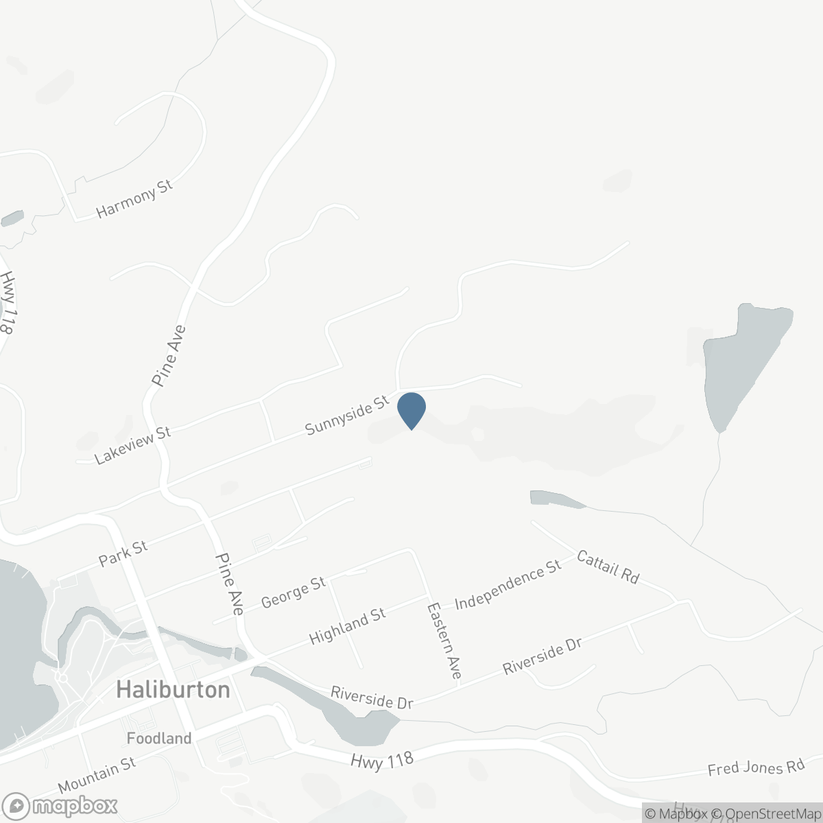 202 SUNNYSIDE STREET, Haliburton, Ontario K0M 1S0